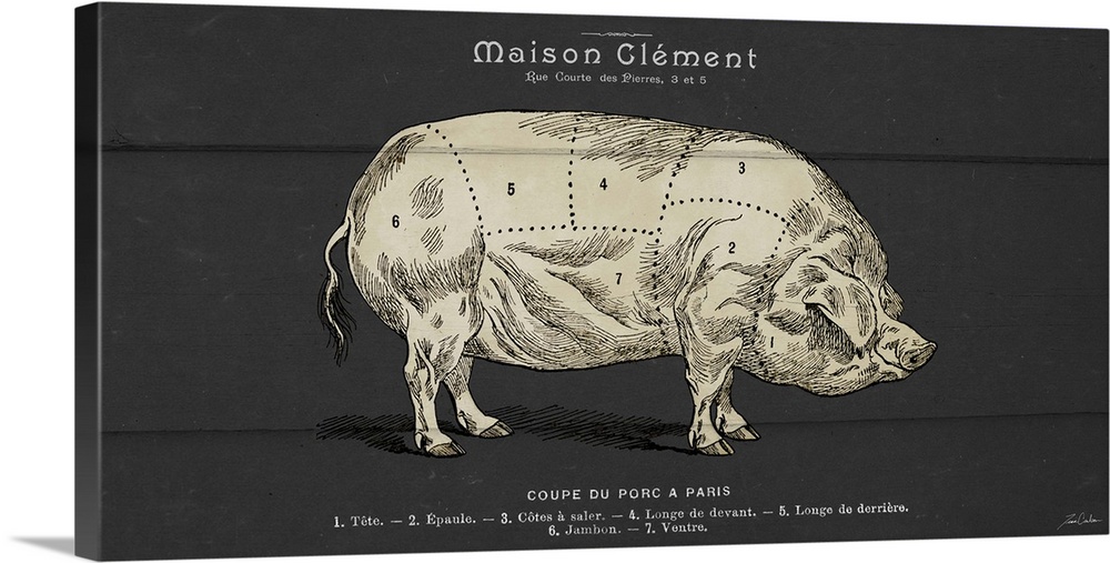 Contemporary illustration of a pig with dotted lines marked on the body sectioning the different cuts of meat.