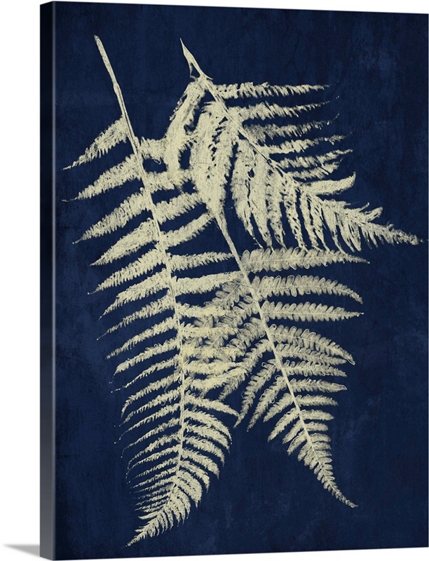 Dark Ferns II | Great Big Canvas