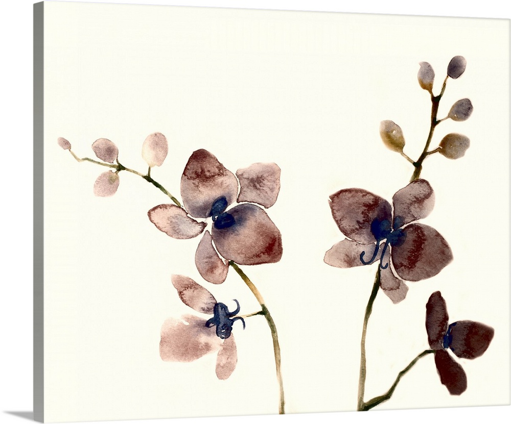 Watercolor painting of four dark purple orchids on two different plants with a solid cream colored background.