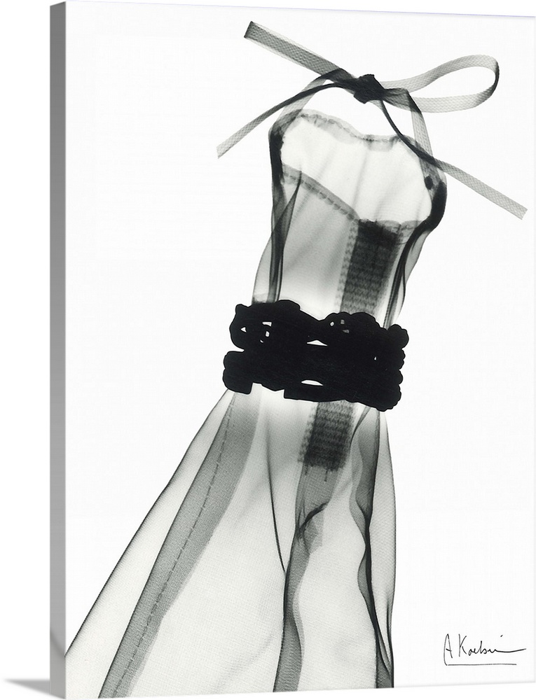 Vertical x-ray photograph of a dress, against a light background.