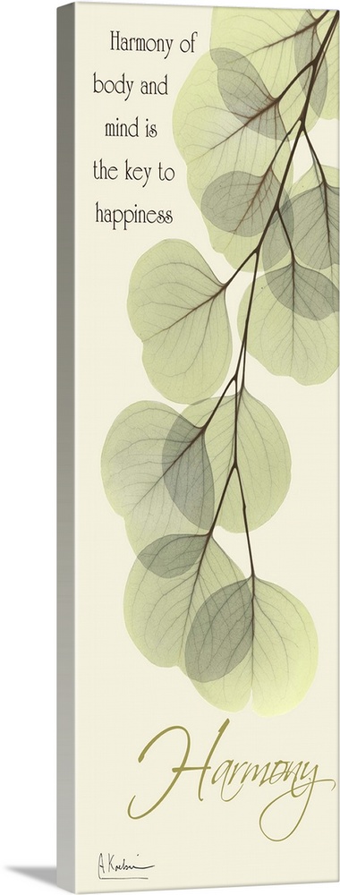 Vertical x-ray photograph of eucalyptus leaves, against a warm tone background. With the word "Harmony" at the bottom of t...