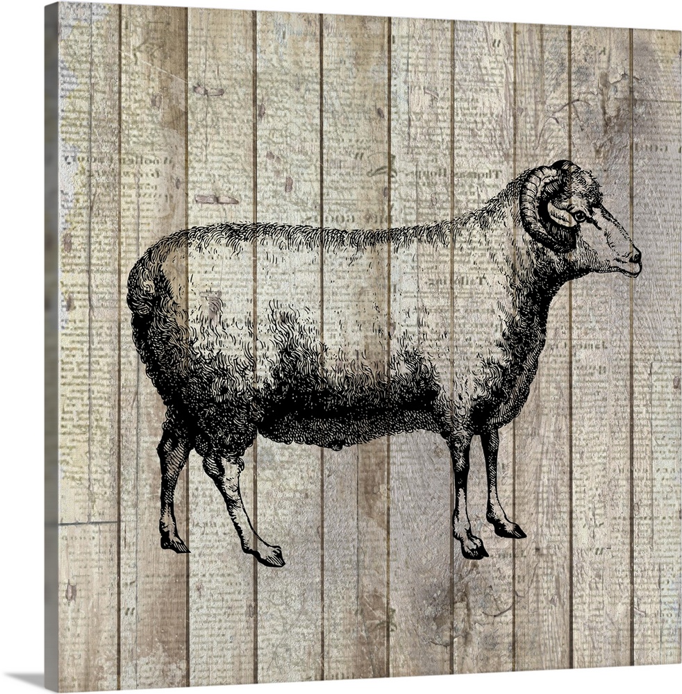 A painting of a sheep on an aged wood panel background with a very faint text overlay.