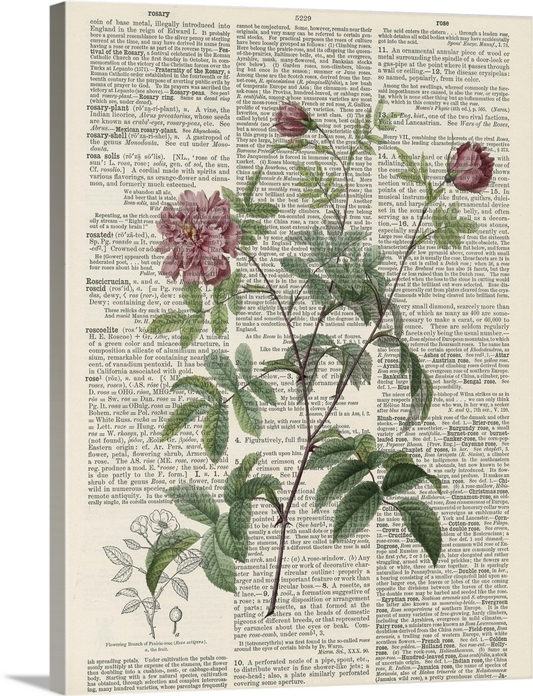Vintage style artwork of dictionary page with a flower in the center of the image.