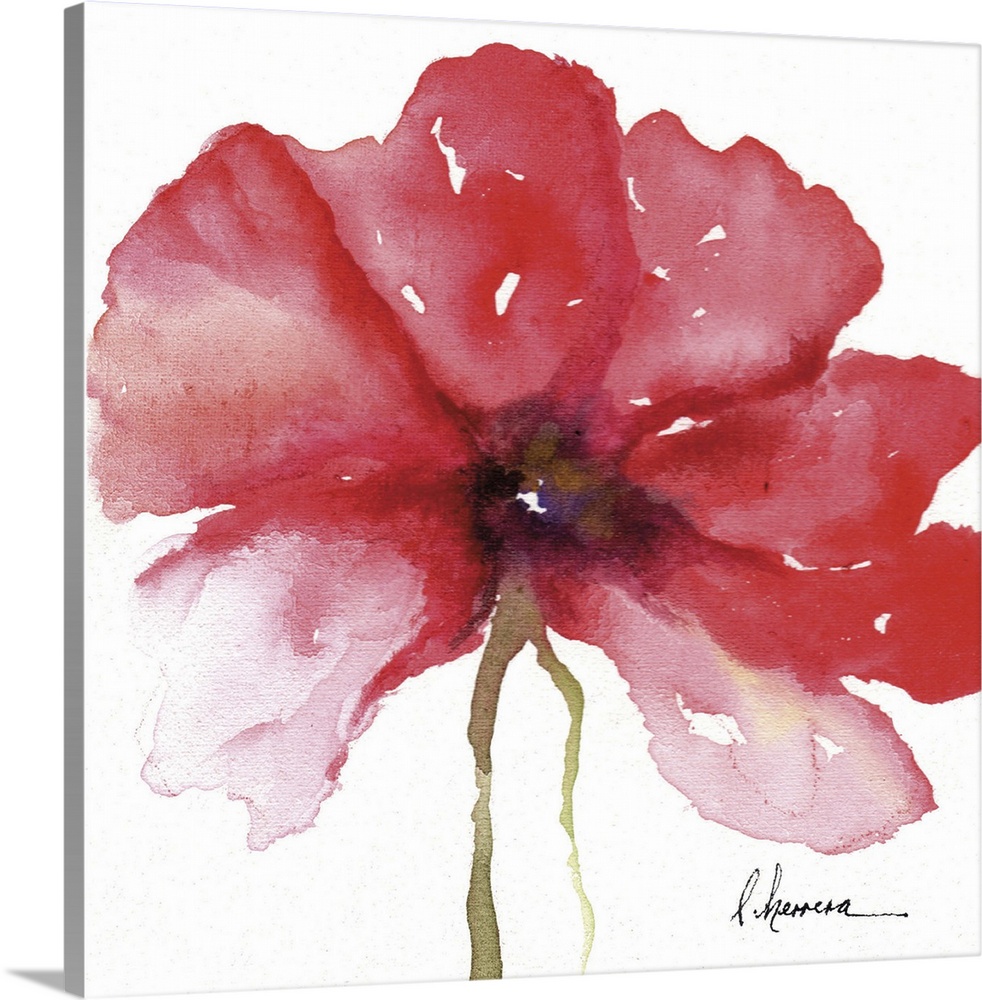 Watercolor painting of a large red flower.
