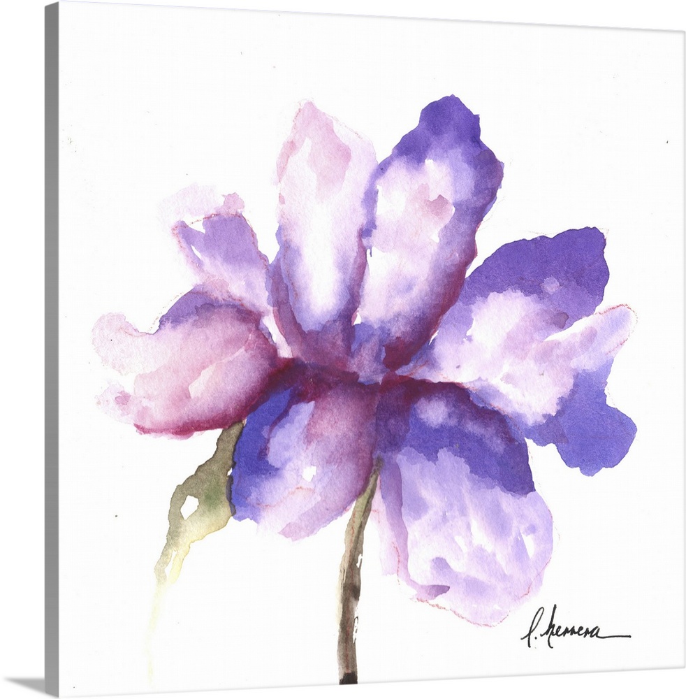 Watercolor painting of a purple flower with large petals.