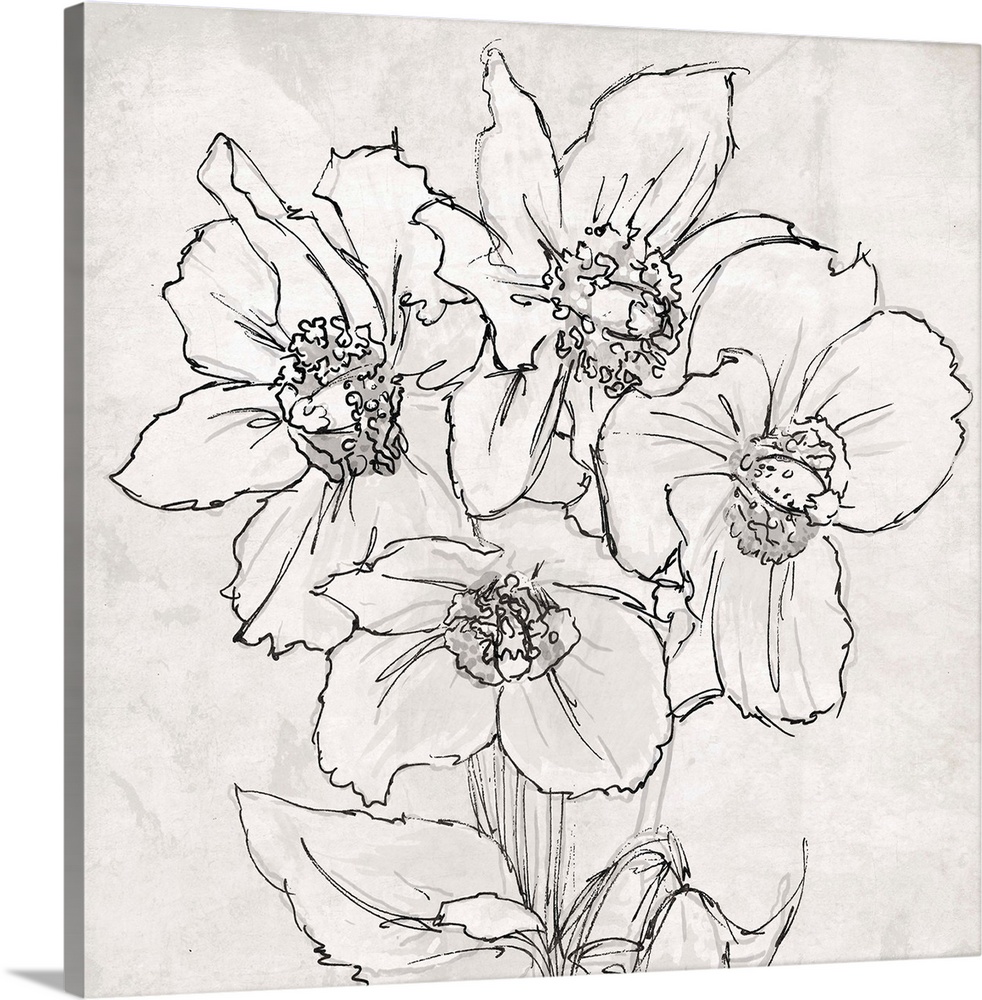 Floral Sketch