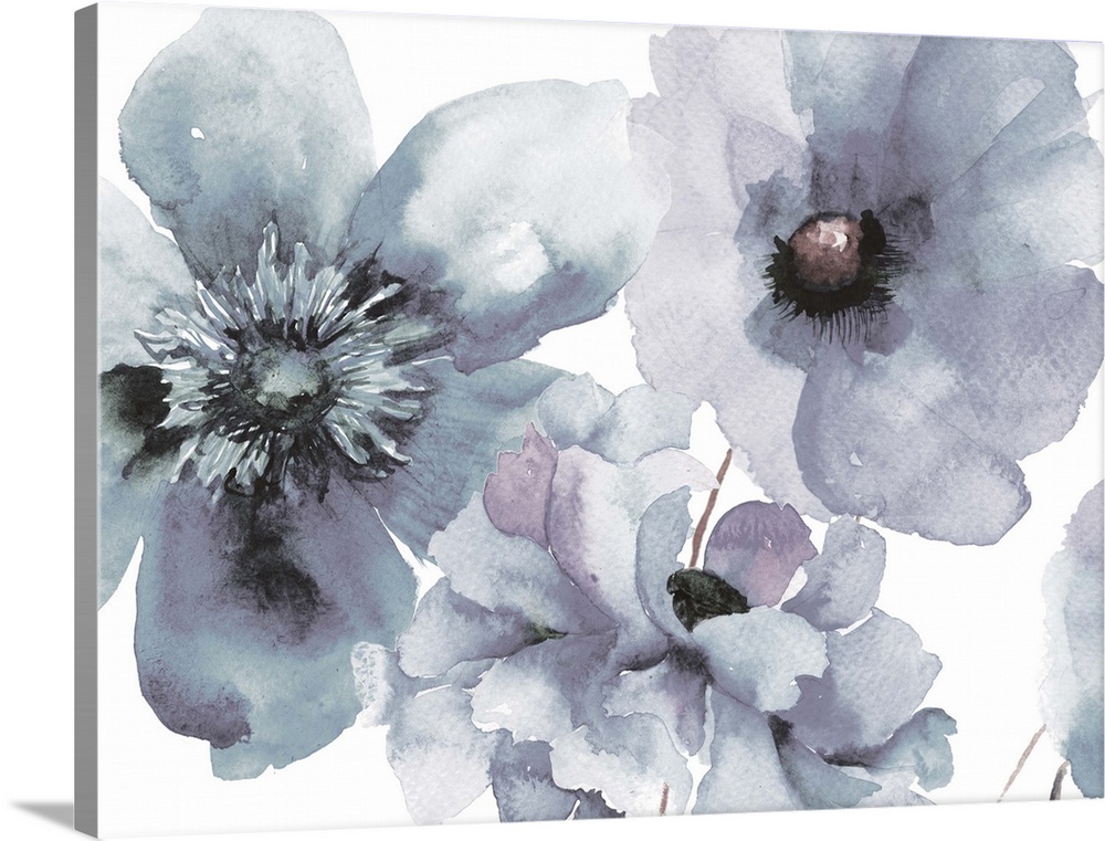 Contemporary watercolor painting of pale blue flowers with broad petals.