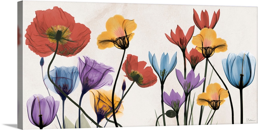X-ray photograph of spring time colorful flowers.