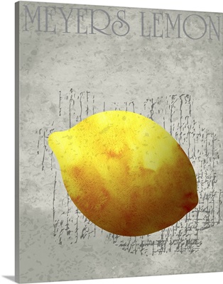 Fruit Watercolor - Meyers Lemon