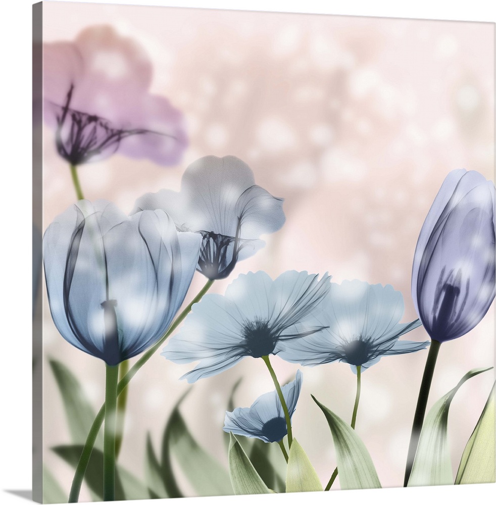 X-ray style photograph of blooming flowers in pink and blue with bokeh lights.