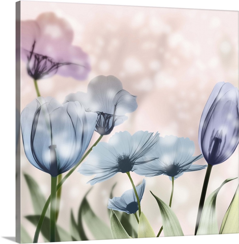 Garden Of Wonders II | Great Big Canvas