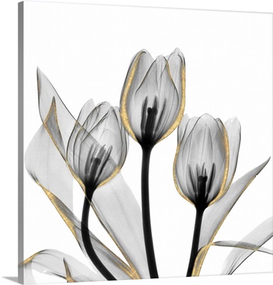 Gold Embellished Tulips 5