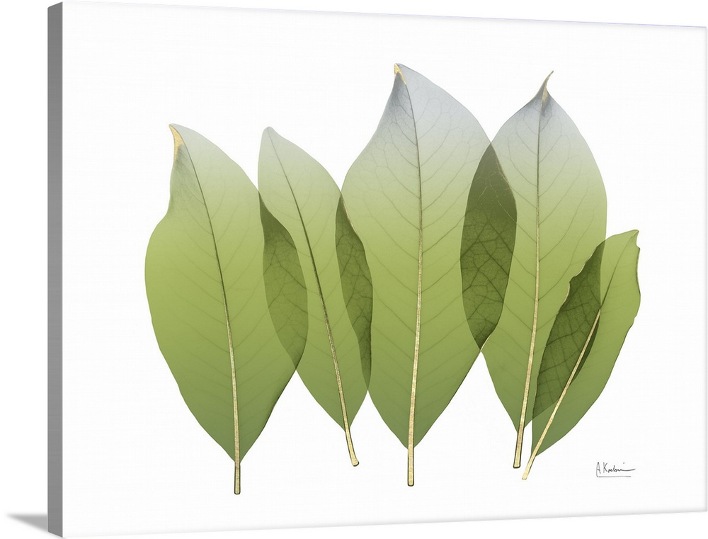 X-ray style photo of five green leaves with golden veins.