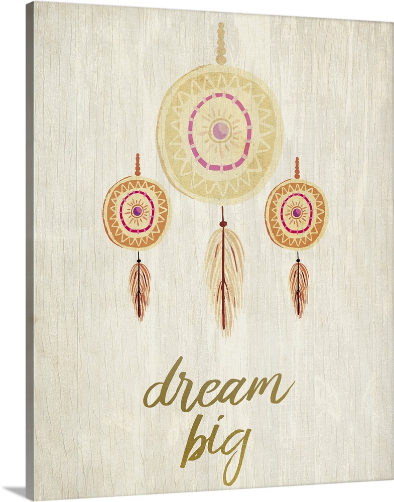 Three dreamcatchers with feathers hanging over the words "Dream Big."