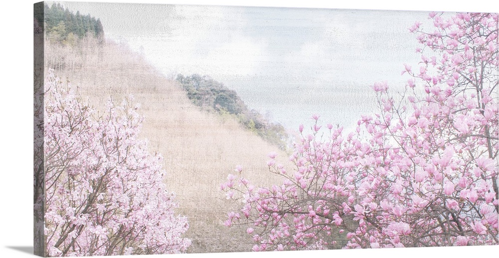 Hillside Pink