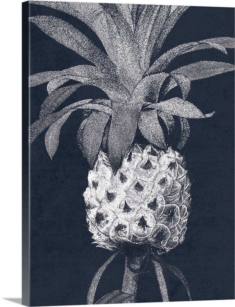 A painting of a white pineapple on an indigo background.