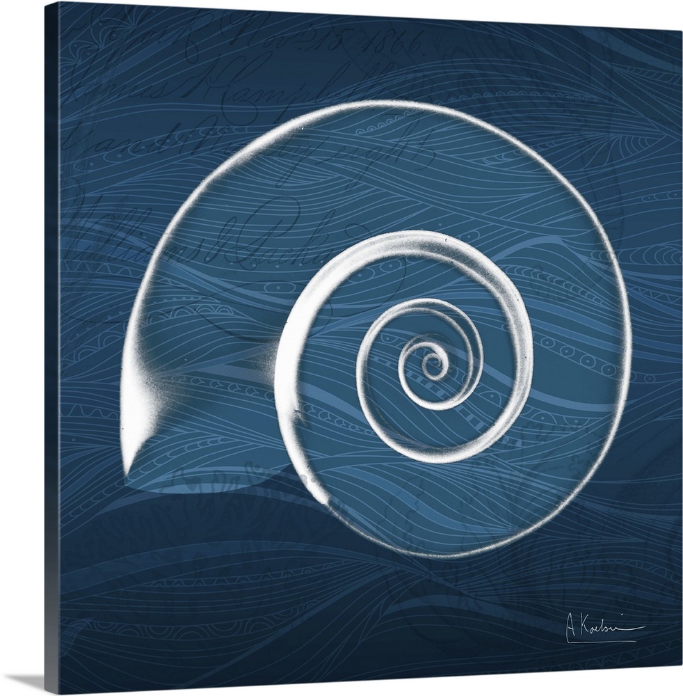 X-ray photograph of a spiral seashell against a wavy dark blue background.