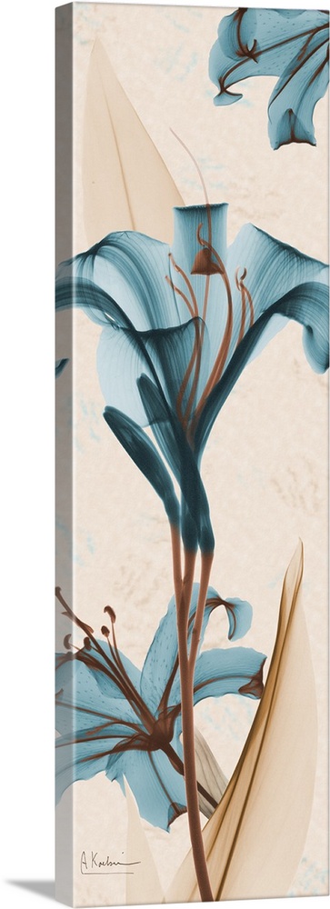 Vertical x-ray photograph of lilies on an earth toned background.