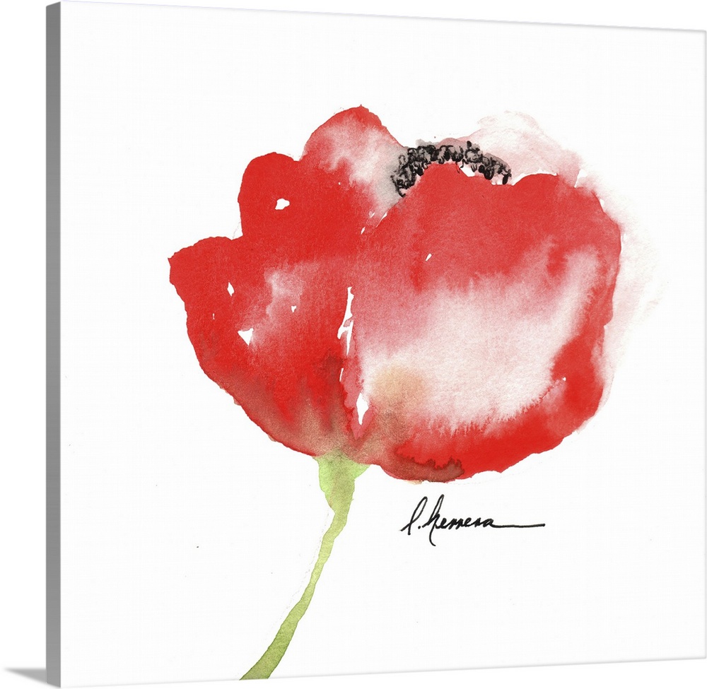 Watercolor painting of a red poppy flower.