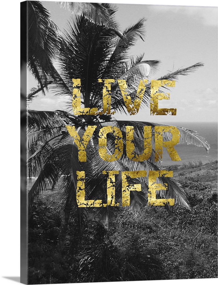 "Live your life" written on top of a black and white photo of a beach scene with palm trees.