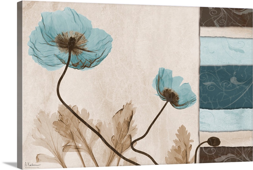 Square x-ray photograph of two poppies, with a vertical set of textured tiles to the right of the image. Against an earth ...