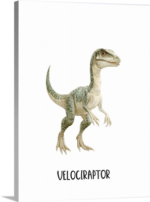 Meet The Dinosaurs 2