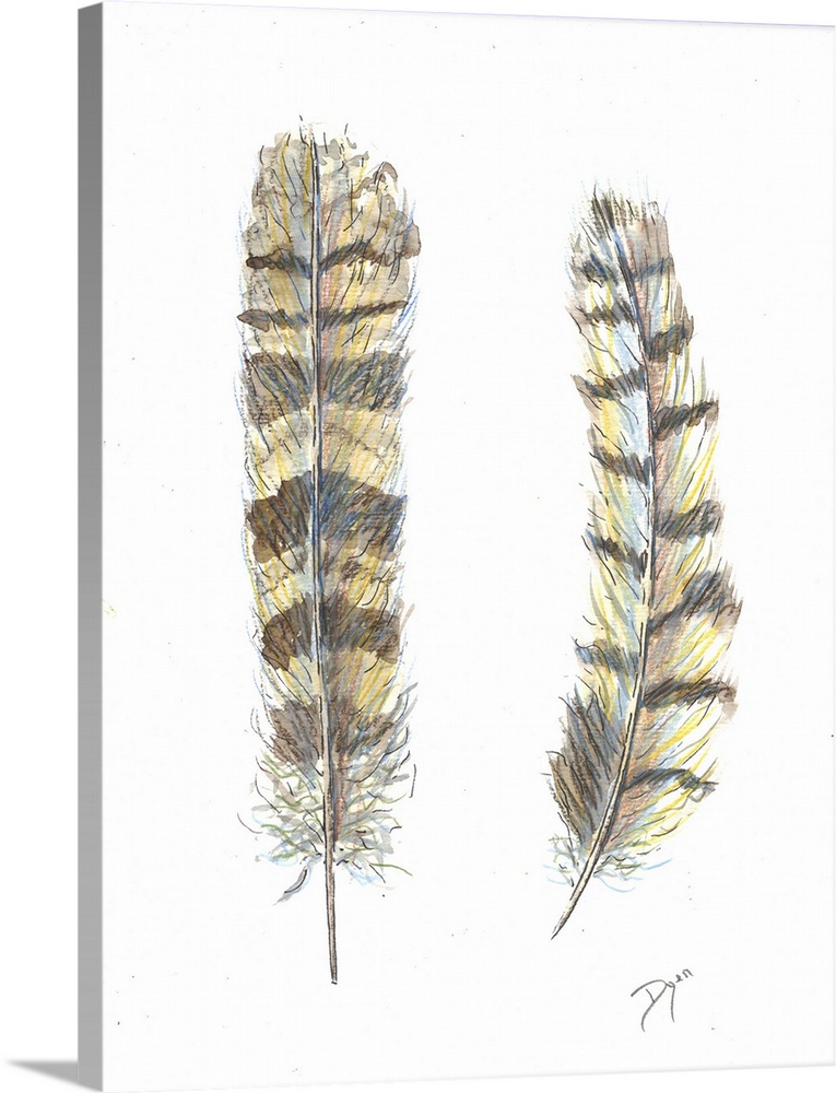 Painting of two striped feathers from an owl.