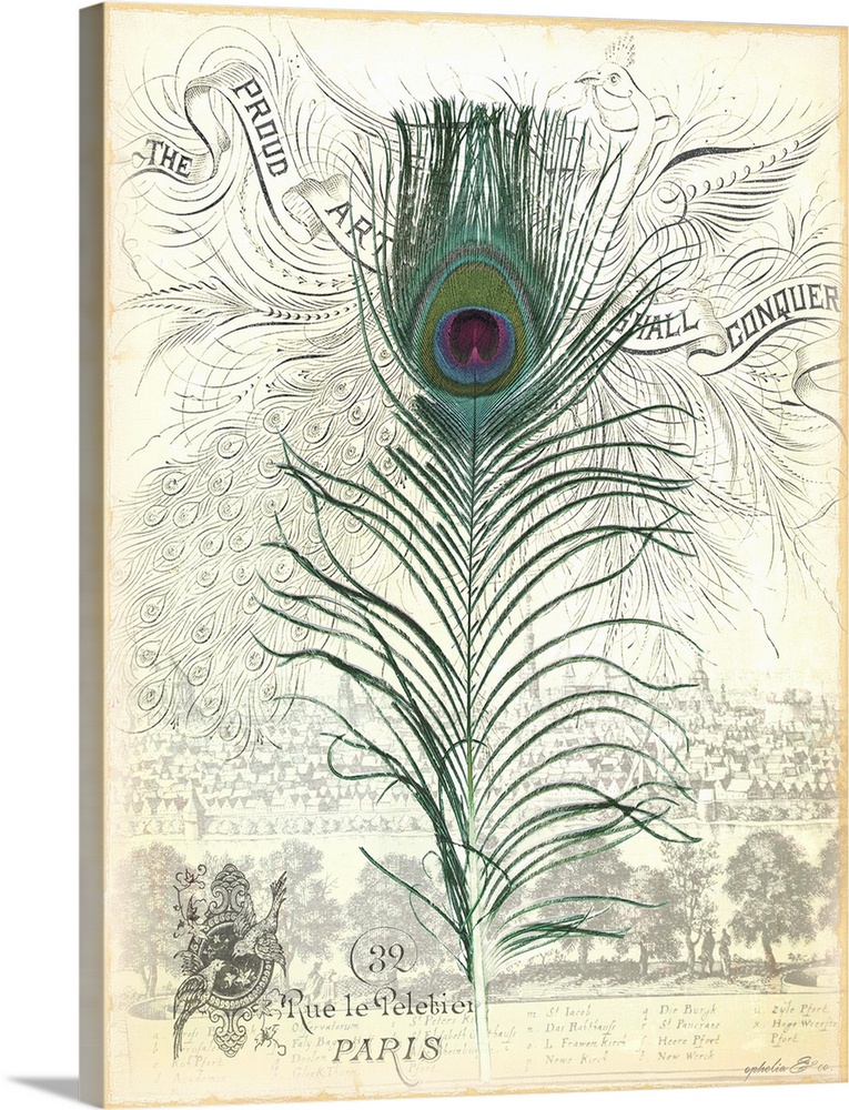 Illustration of a peacock tail feather on a page from a vintage book.