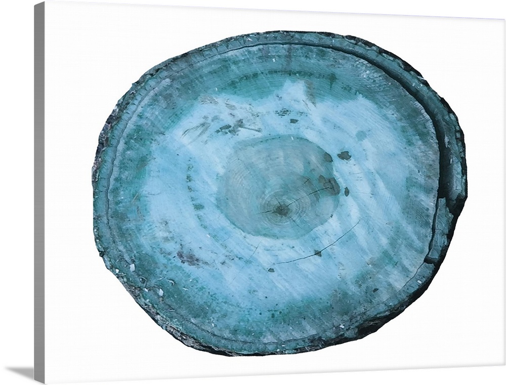 Contemporary artwork of a cross section of a tree showing concentric rings.