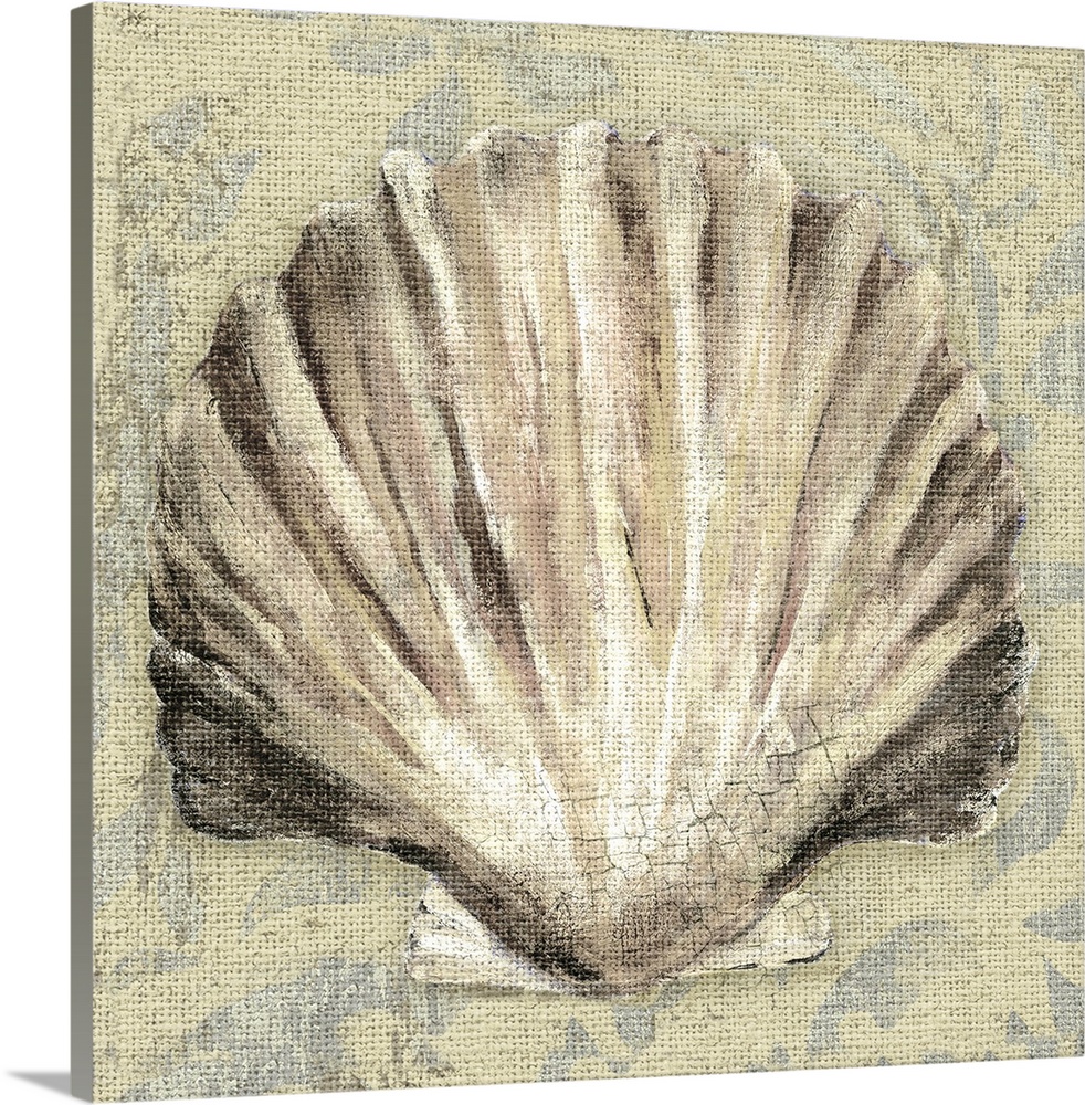 Artwork of a beige scallop shell against a cream colored background.