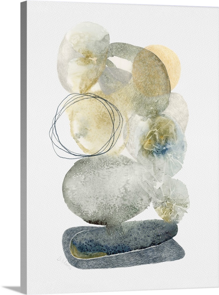 Shearwater Sightings