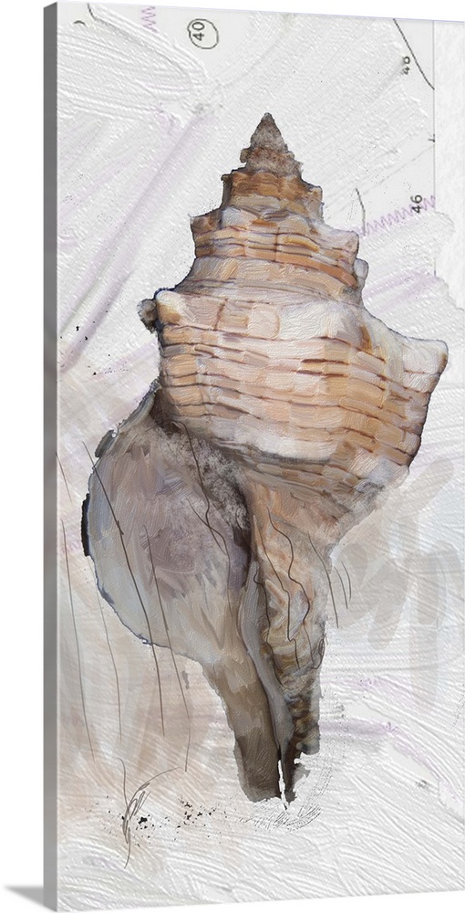 Contemporary painting of a conch shell on a textured white background with a few numbers at the top.