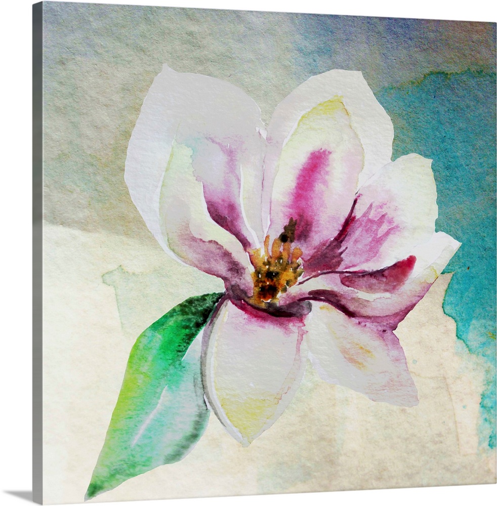Square watercolor painting of a single magnolia flower in shades of pink, yellow, white, and green on an abstract background.