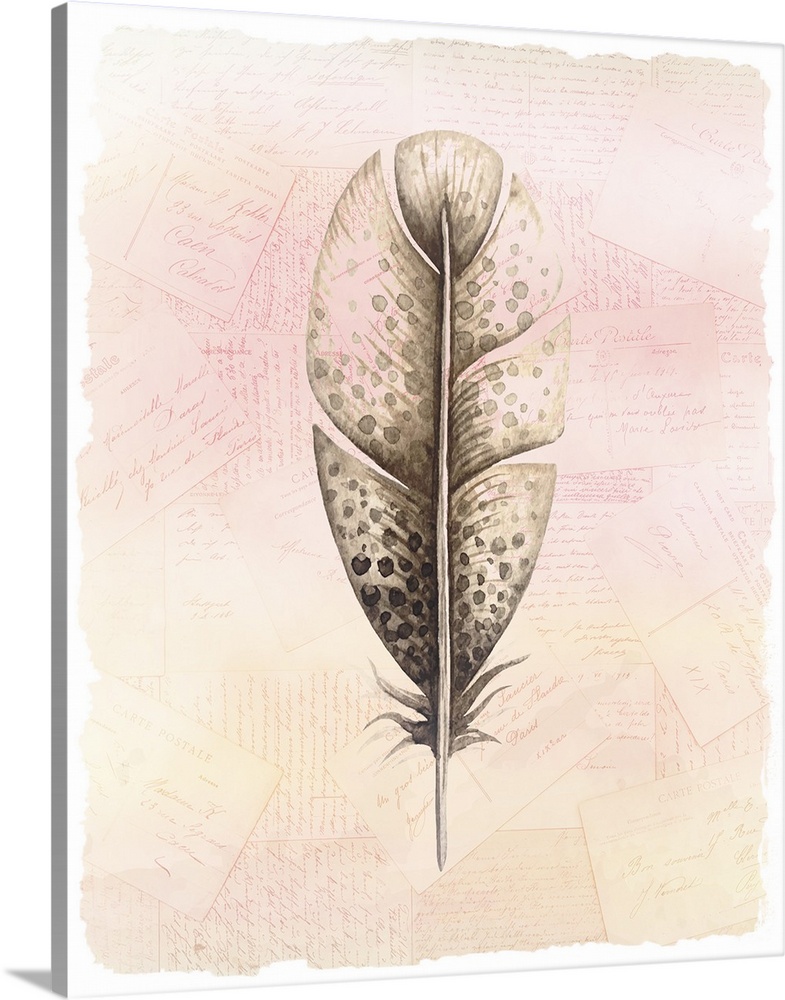 A watercolor of a feather painted on a collage of handwritten postcards with warm tones.