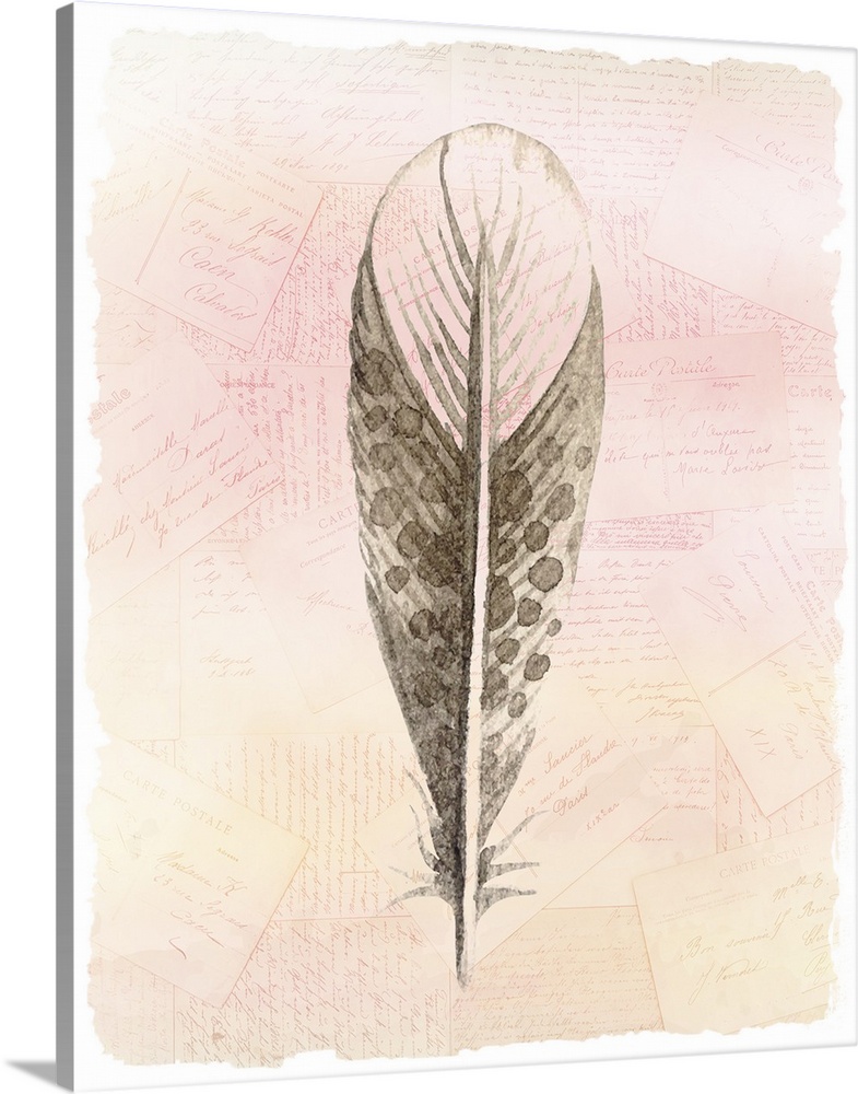 A watercolor of a feather painted on a pile of handwritten postcards with warm tones.