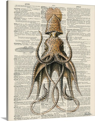 Squid II
