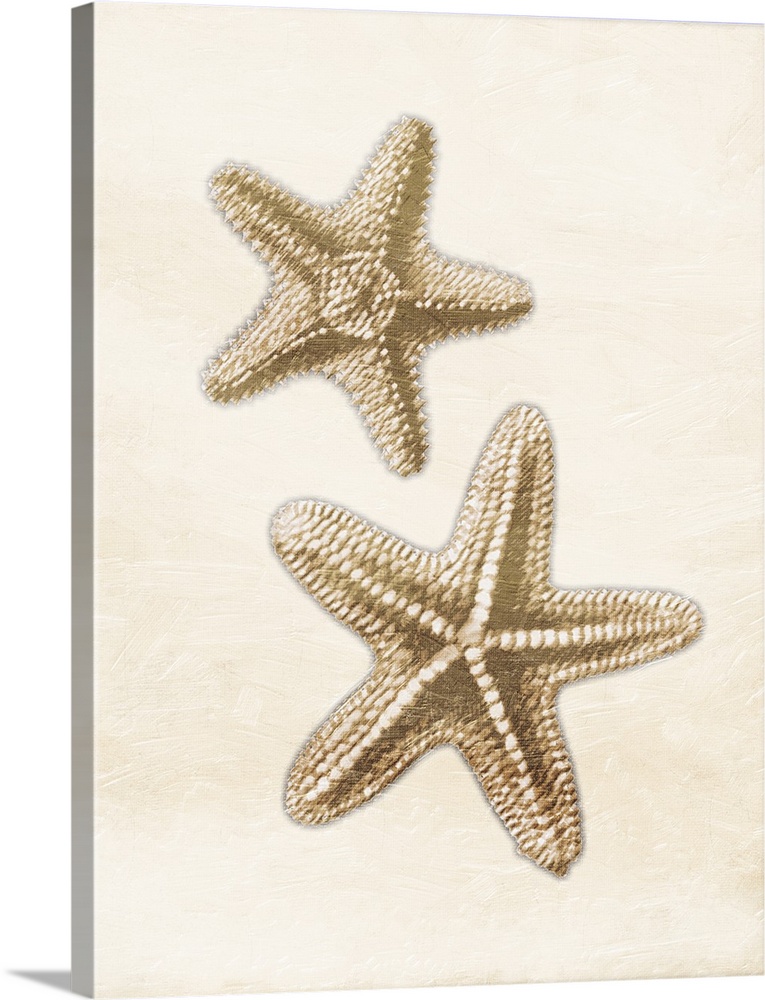 Starfish Gold