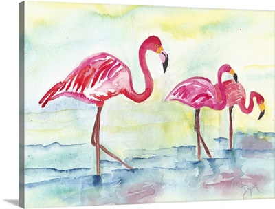 Sunset Flamingoes I