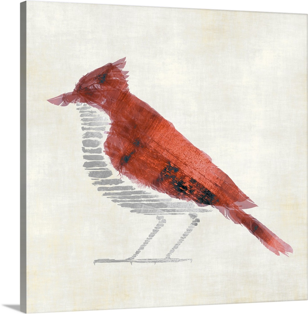 A sketch style illustration of a red jay bird.