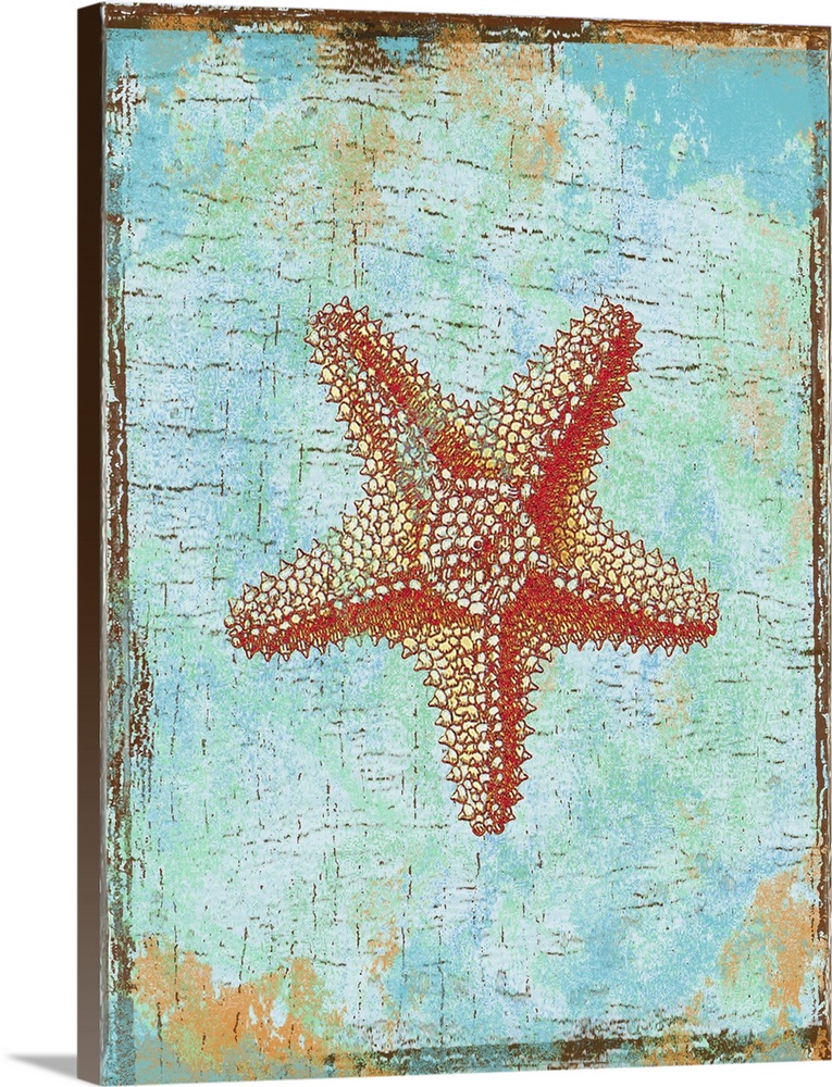 Artwork of a red starfish against a weathered turquoise background