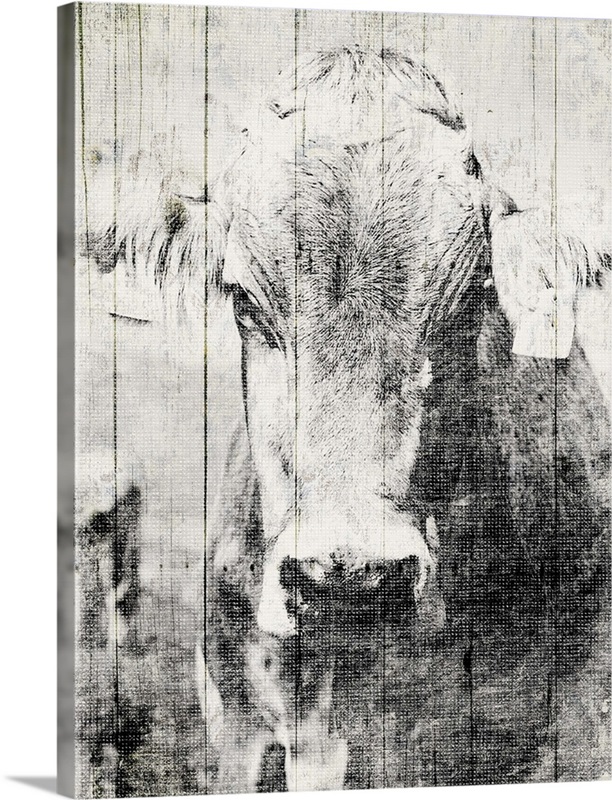 Vintage Cow Wall Art, Canvas Prints, Framed Prints, Wall Peels Great