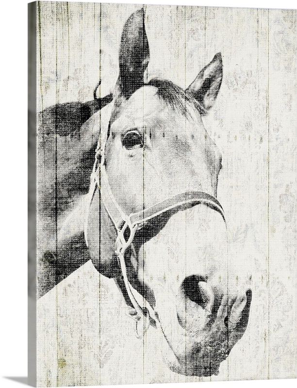 Vintage Horse Wall Art, Canvas Prints, Framed Prints, Wall Peels