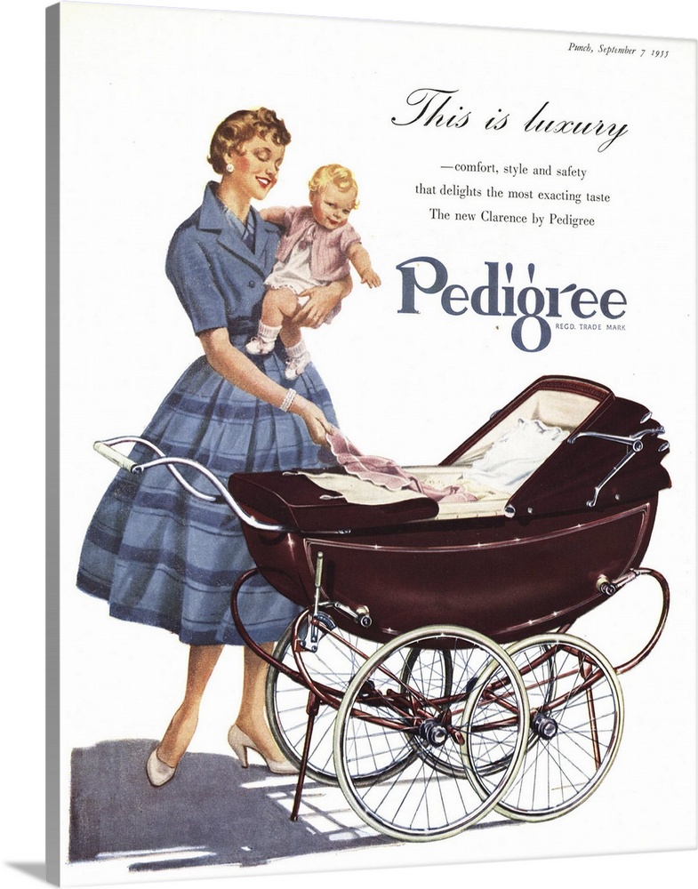 Pedigree, Baby Carriage