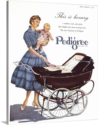 Pedigree, Baby Carriage