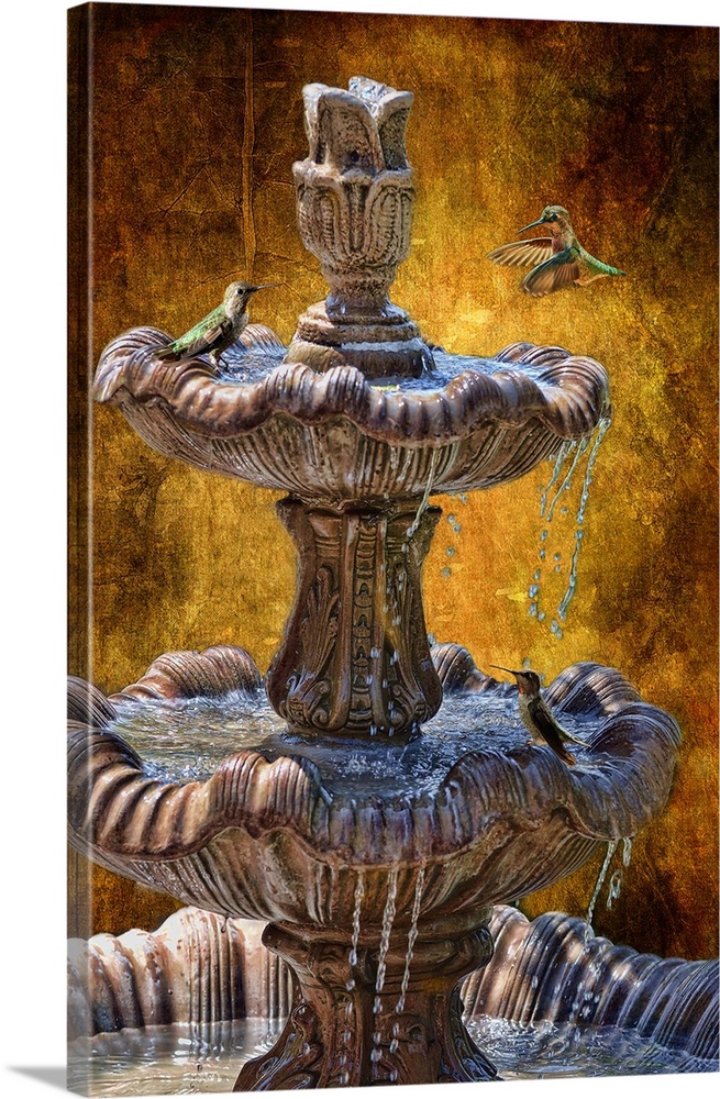 Hummingbirds in the fountain