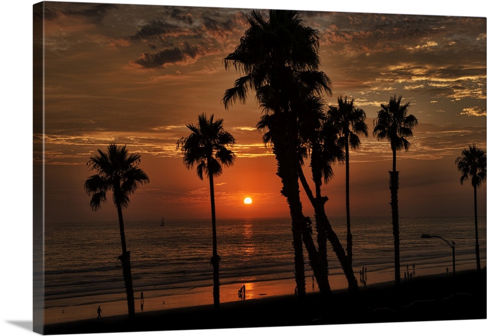 Orange colored sunset and tall silhouetted palms near the Oceanside Pier, Oceanside, California, USA.