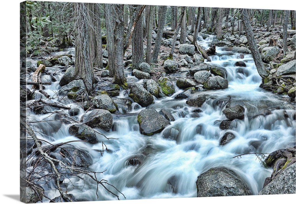 Rivers flowing in Yosemite National Park