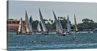 Sailing San Diego