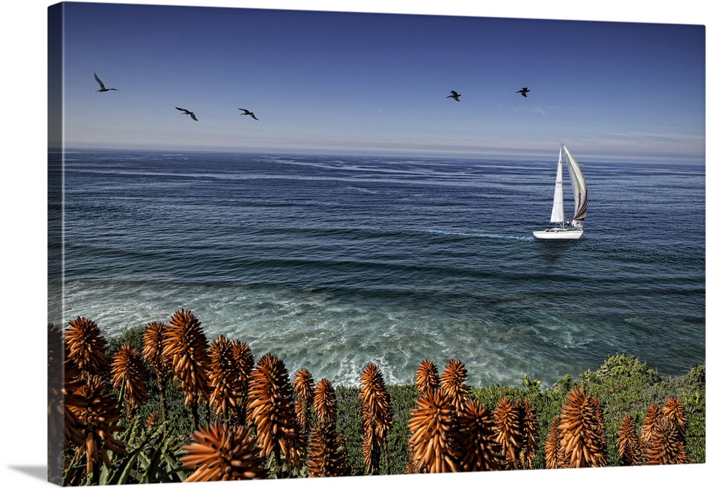San Diego coastline with sailboat