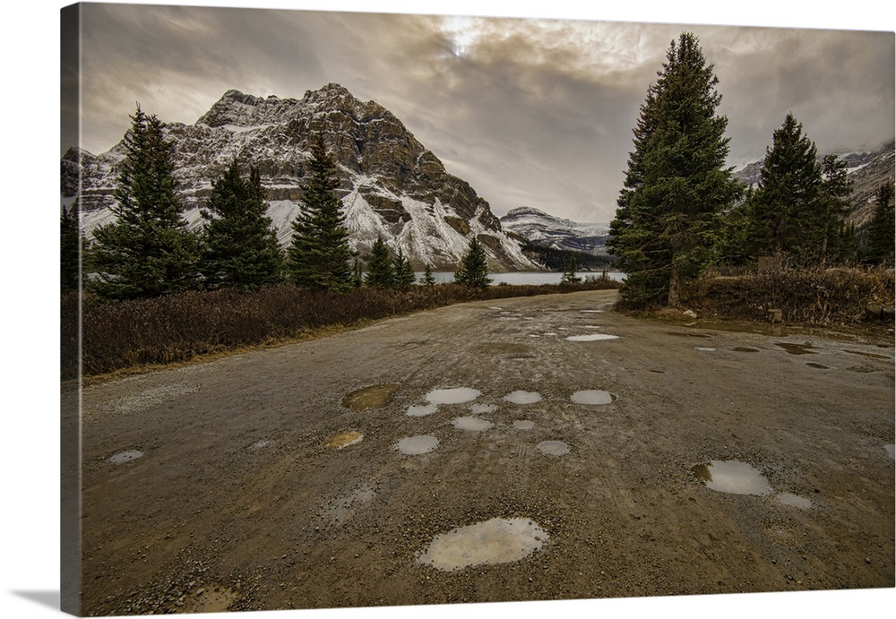 Rain puddles on a road at Bow Lake, Banff National Park, Canada